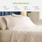 Cariloha Aloha Soft 4-Piece Sheet Set | Natural | Queen | Made from 100% - Image 6