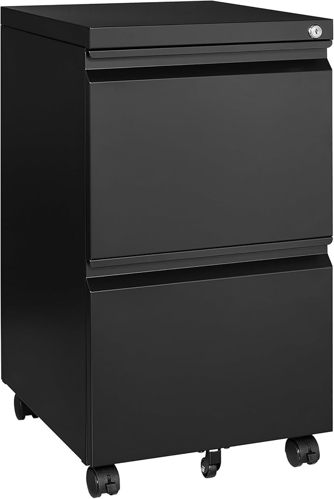 2 Drawer File Cabinet On Wheels Mobile Cabinet by STANI