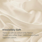 Cariloha Aloha Soft 4-Piece Sheet Set | Natural | Queen | Made from 100% - Image 3