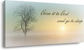 Misty Sunset & Tree Plant Picture by Lasdel