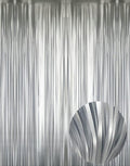 GOER 3.2 ft x 8.2 ft Metallic Tinsel Foil Fringe Curtains Party Photo Backdrop by GOER