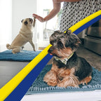 Muddy Mat® Shown on TV – Super Absorbent Door Mat Indoor, Microfiber Quick Dry - Image 6