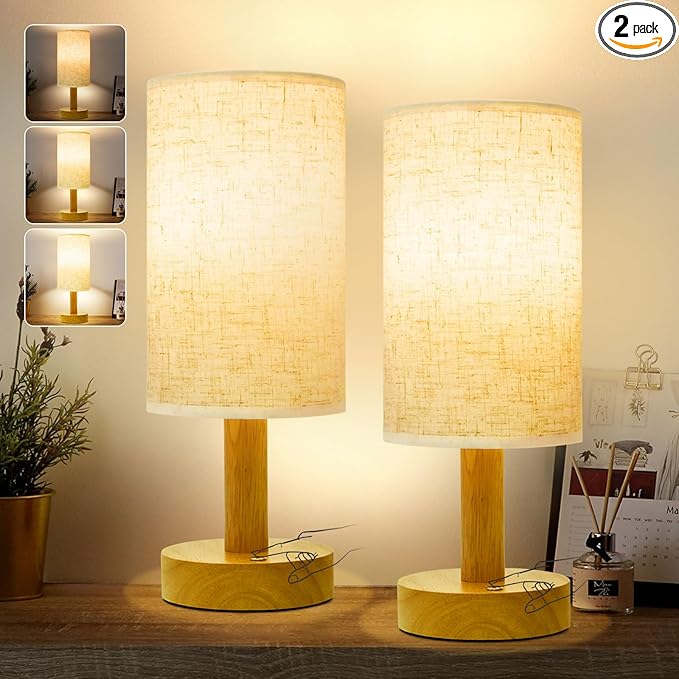 Small Cordless Touch Bedside Table Lamps Set of 2, Minimalist Dimmable by SEENSINY