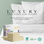 Carressa Linen 100% Egyptian Cotton Queen Sheet Set - Image 8