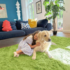 OLANLY 3x5 Machine Washable Small Bedside Rug, Soft Fluffy Shaggy Rugs - Image 8