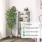 6FT Artificial Ficus Tree, Fake Plants - Image 5