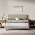 Signature Design by Ashley Chime Hybrid California King 12" Mattress by SignatureDesignbyAshley