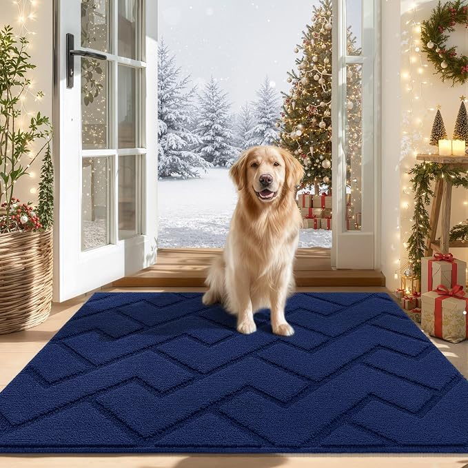hicorfe Indoor Door Mat, Non Slip Door Mats, Absorbent Resist Dirt Entrance by Hicorfe
