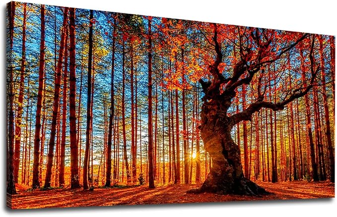 Yearainn Large Canvas Wall Art Forest Sunset Canvas Pictures Red Leaf Trees by yearainn