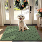 hicorfe Front Door Mat Outside Entrance, Stain and Fade Resistant, Non Slip by Hicorfe