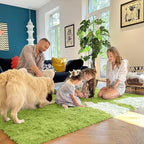 OLANLY 3x5 Machine Washable Small Bedside Rug, Soft Fluffy Shaggy Rugs - Image 6