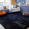 PAGISOFE Navy Blue Rug 3x5, Fluffy Dark Blue Rugs by PAGISOFE