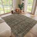 Washable 5x7 Area Rugs for Living Room, Boho Non-Slip Vintage Distress Rugs for by Hedwior