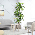 Artificial Plants, 6 Ft Dracaena Tree Faux Plants Indoor Outdoor Decor Fake Tree - Image 6