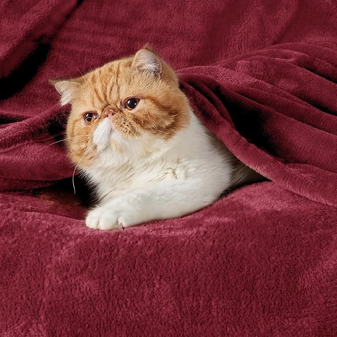 Bedsure GentleSoft Fleece Blankets King Size Burgundy - Image 2